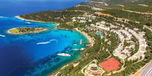 bodrum