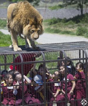 ZOO PARK