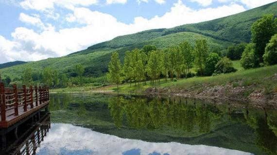 Samsun